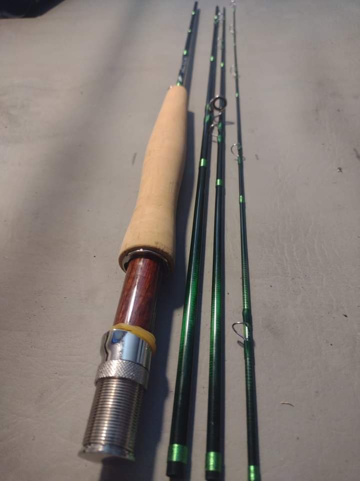 FB_IMG_1732299505458