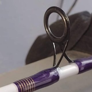 FB_IMG_1732299519928