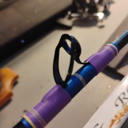 IMG_20260128_145332909 scaled rlflcabvqnh5ep86chwubdmvl5817r7bidaemc3tj8